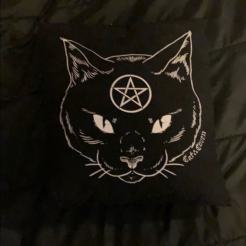 Pagan kitty pillow